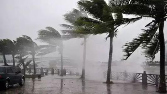 8月臺風雨即將來，除濕機還得用起來