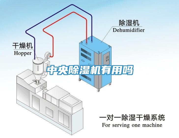 中央除濕機有用嗎