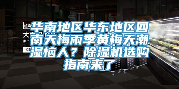 華南地區華東地區回南天梅雨季黃梅天潮濕惱人？除濕機選購指南來了