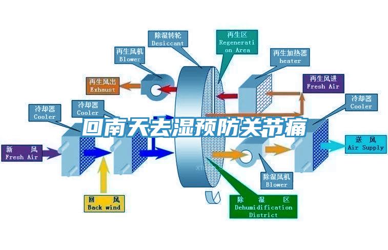 回南天去濕預防關節痛