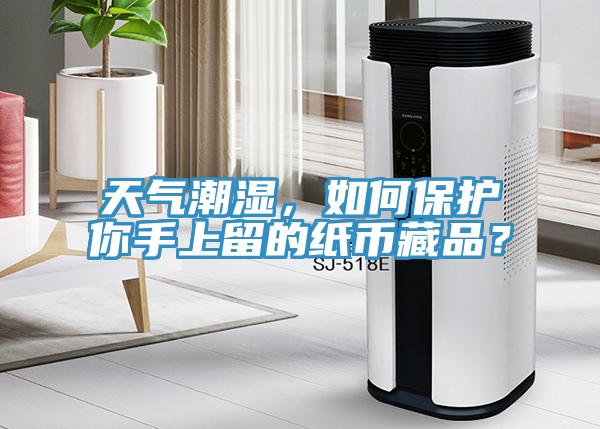 天氣潮濕，如何保護(hù)你手上留的紙幣藏品？