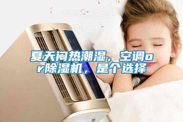 夏天悶熱潮濕，空調or除濕機，是個選擇