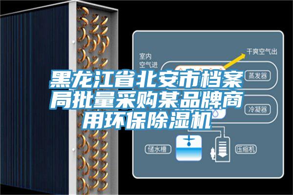 黑龍江省北安市檔案局批量采購某品牌商用環保除濕機