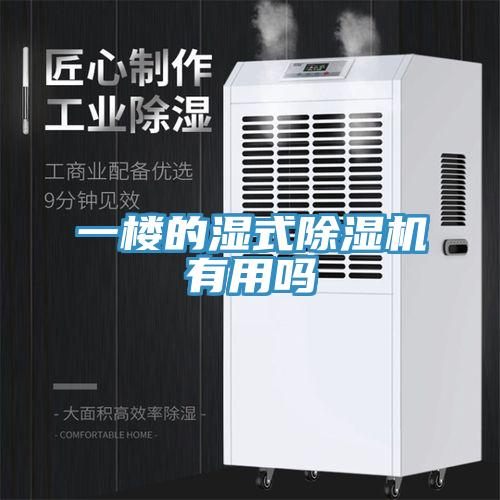 一樓的濕式除濕機(jī)有用嗎