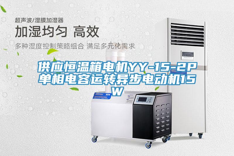 供應恒溫箱電機YY-15-2P單相電容運轉異步電動機15W