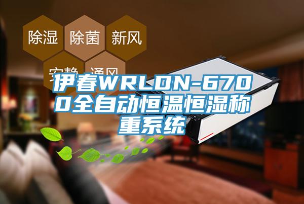 伊春WRLDN-6700全自動恒溫恒濕稱重系統