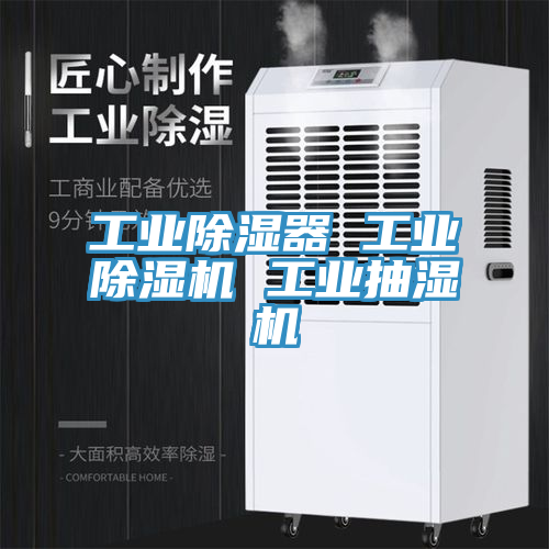 工業(yè)除濕器 工業(yè)除濕機(jī) 工業(yè)抽濕機(jī)