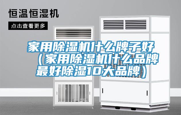 家用除濕機(jī)什么牌子好（家用除濕機(jī)什么品牌最好除濕10大品牌）