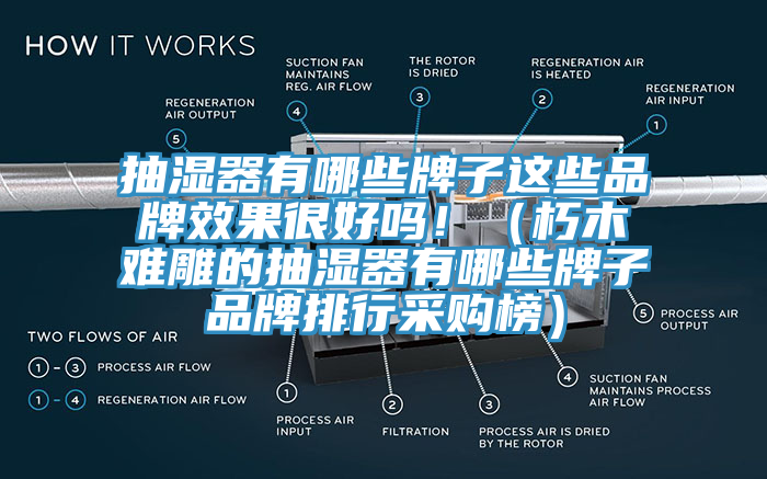 抽濕器有哪些牌子這些品牌效果很好嗎！（朽木難雕的抽濕器有哪些牌子品牌排行采購榜）