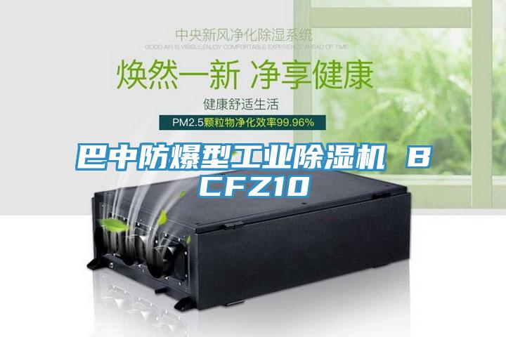 巴中防爆型工業除濕機 BCFZ10