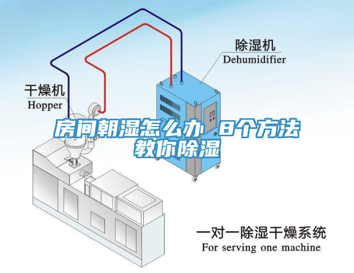 房間朝濕怎么辦 8個(gè)方法教你除濕