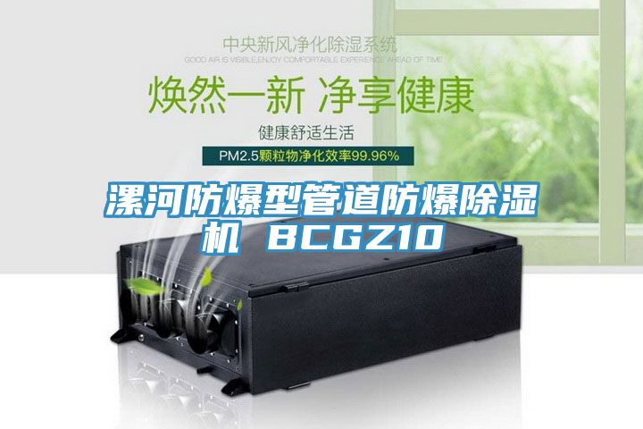 漯河防爆型管道防爆除濕機 BCGZ10