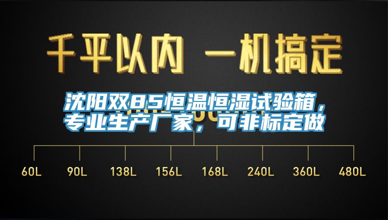 沈陽雙85恒溫恒濕試驗箱，專業生產廠家，可非標定做