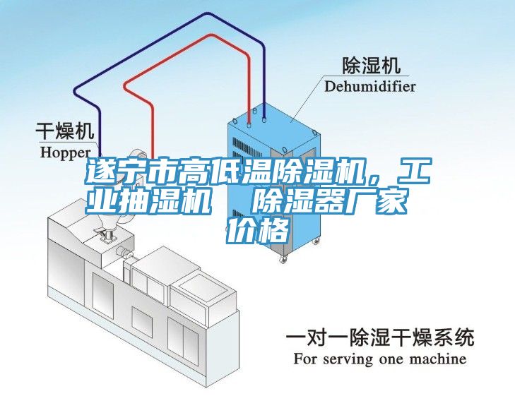 遂寧市高低溫除濕機(jī)，工業(yè)抽濕機(jī)  除濕器廠家 價格