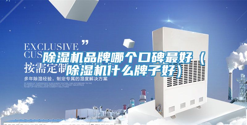 除濕機品牌哪個口碑最好（除濕機什么牌子好）