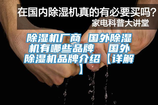 除濕機廠商 國外除濕機有哪些品牌  國外除濕機品牌介紹【詳解】