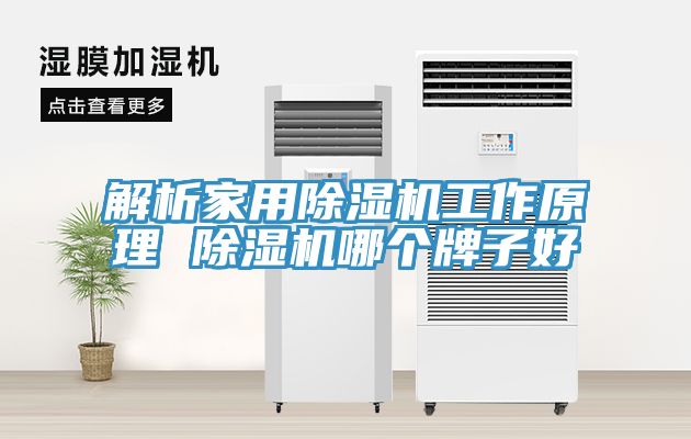 解析家用除濕機工作原理 除濕機哪個牌子好