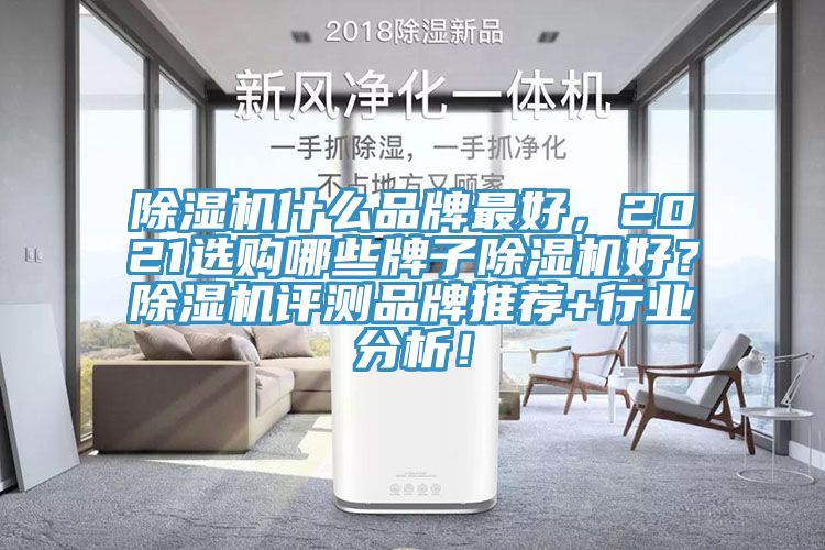 除濕機什么品牌最好，2021選購哪些牌子除濕機好？除濕機評測品牌推薦+行業分析！