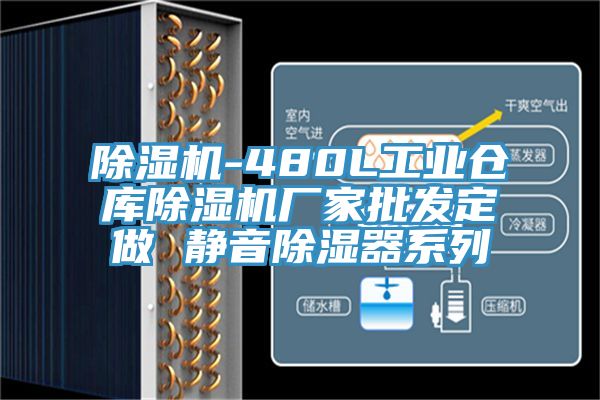 除濕機-480L工業(yè)倉庫除濕機廠家批發(fā)定做 靜音除濕器系列