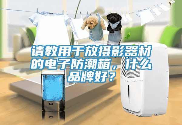 請教用于放攝影器材的電子防潮箱，什么品牌好？