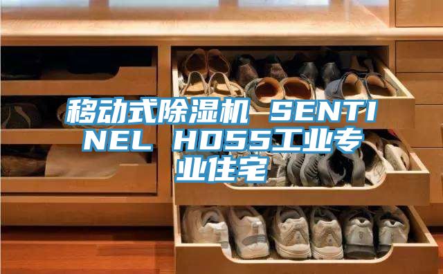 移動(dòng)式除濕機(jī) SENTINEL HD55工業(yè)專業(yè)住宅