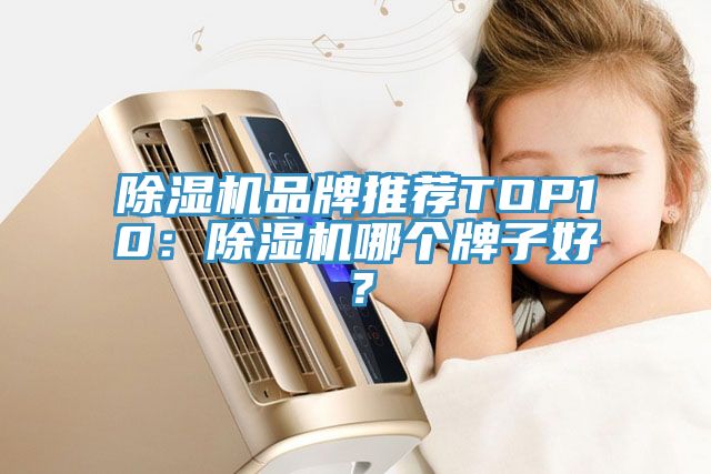 除濕機品牌推薦TOP10：除濕機哪個牌子好？