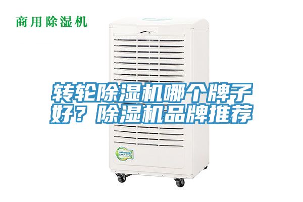 轉輪除濕機哪個牌子好？除濕機品牌推薦