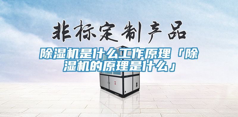 除濕機是什么工作原理「除濕機的原理是什么」