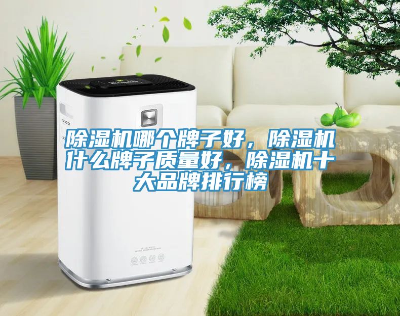 除濕機哪個牌子好，除濕機什么牌子質量好，除濕機十大品牌排行榜