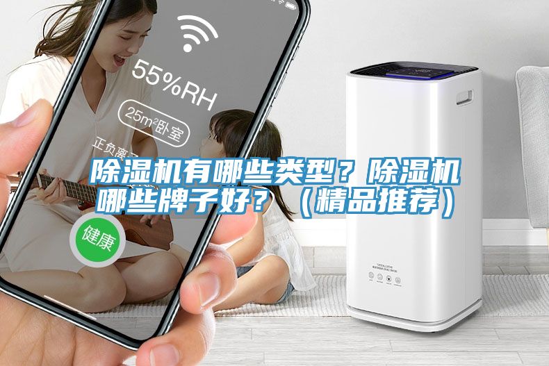 除濕機有哪些類型？除濕機哪些牌子好？（精品推薦）